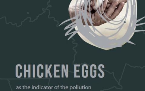 Chicken eggs as an indicator of the pollution of the environment in Kazakhstan