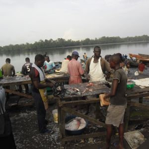 Douala-fish-market.jpg