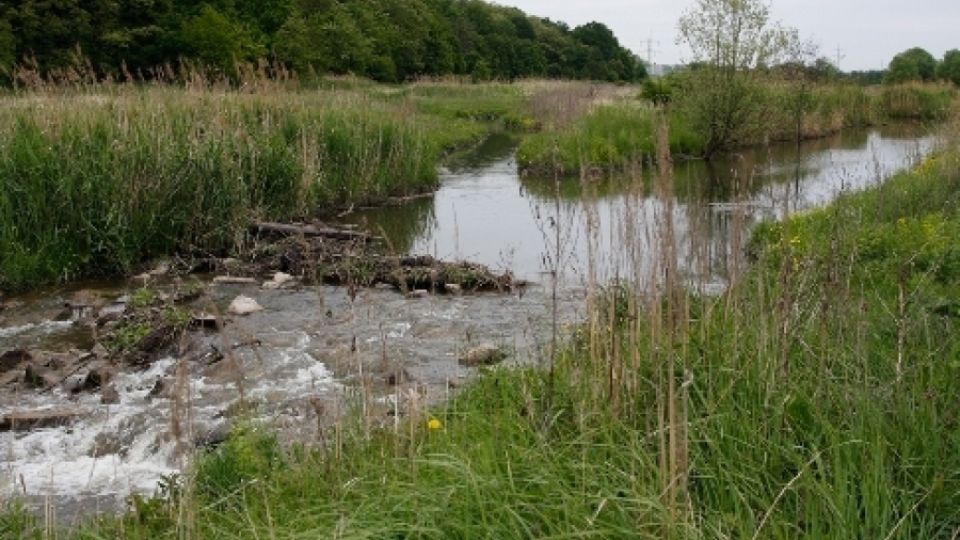 Menší povodňové škody a čistější vodu slibuje úprava soutoku v Čehovicích