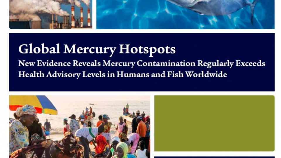 Global Mercury Hotspots