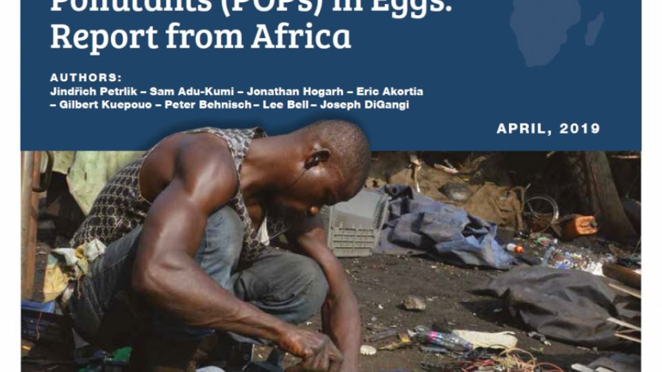 Persistent Organic Pollutants (POPs) in Eggs: Report from Africa