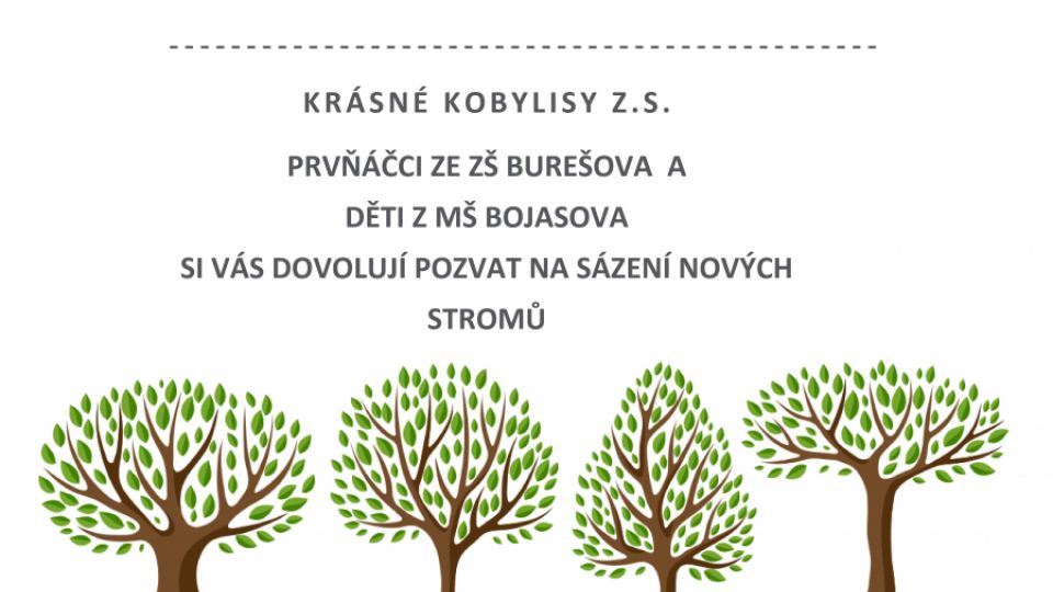 Sázíme stromy na Kobylisých, přijďte se podívat!