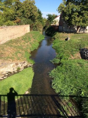 Znečištění pražských vodních toků a vodních ploch těžkými kovy