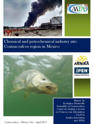Chemical and petrochemical industry site: Coatzacoalcos region in Mexico