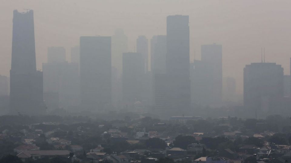 NGOs: Governments need new tools to control air pollution urgently