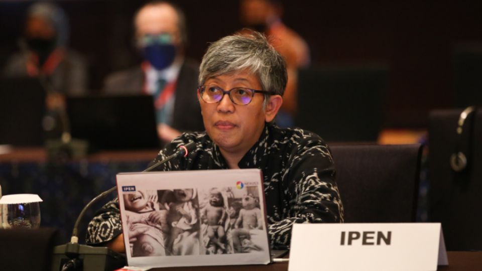 IPEN Urges BRS COPs Delegates to Follow the Science, Ban Dangerous Chemicals Without Exemptions