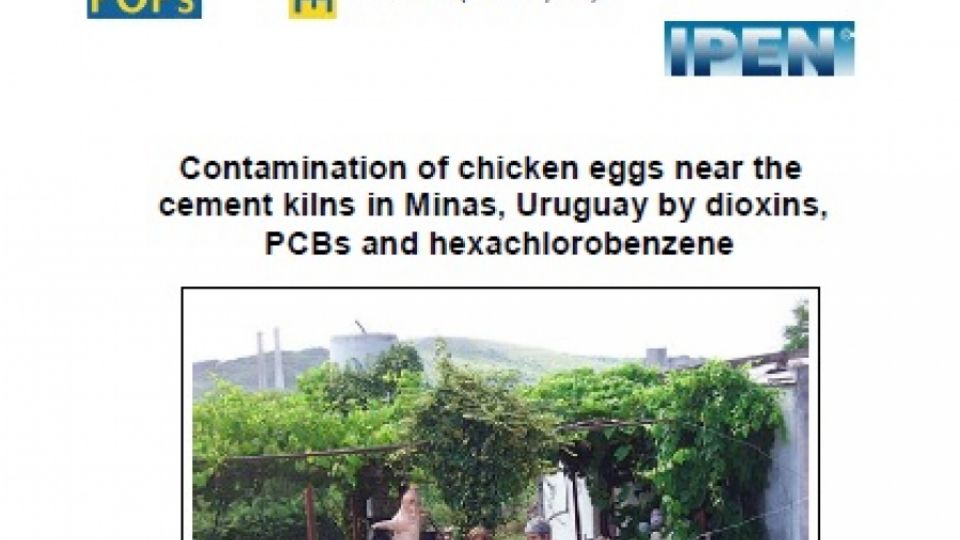 Contamination of chicken eggs near the cement kilns in Minas, Uruguay