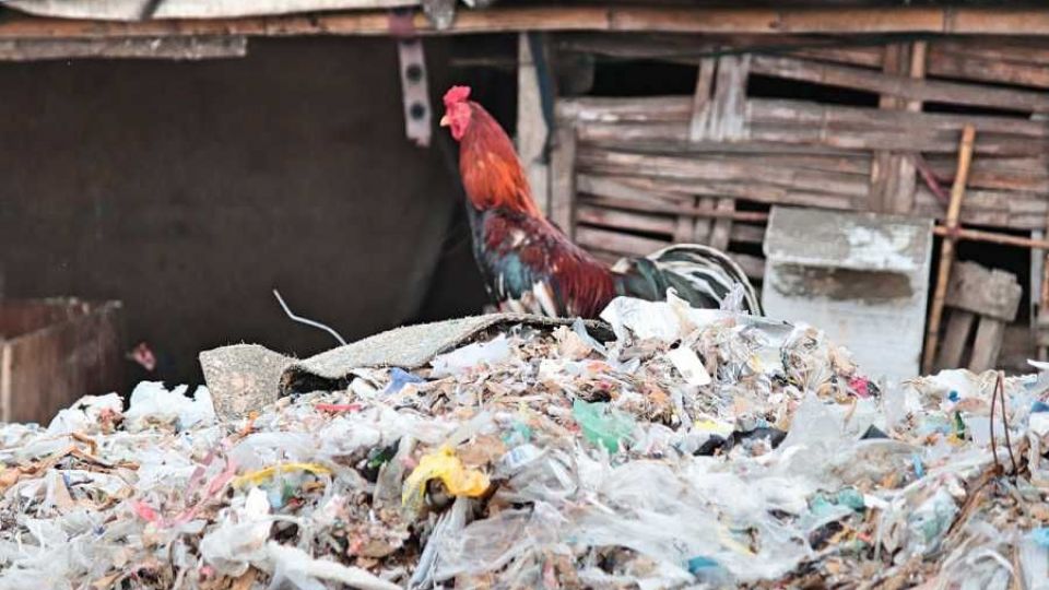 Dovezené plasty v Indonésii vedou ke kontaminaci místních potravin akumulací velice toxických látek, zjistili čeští odborníci
