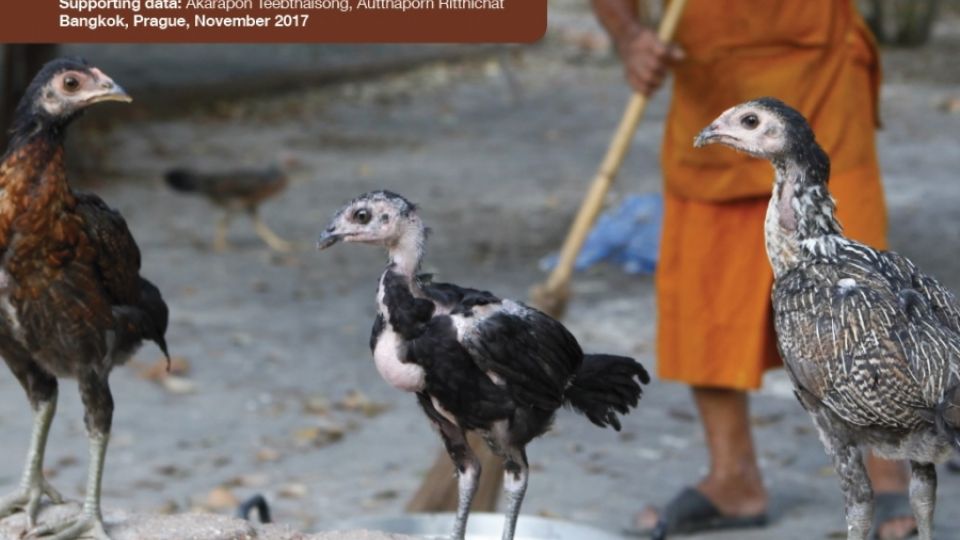Chicken Eggs as an Indicator of POPs Pollution in Thailand