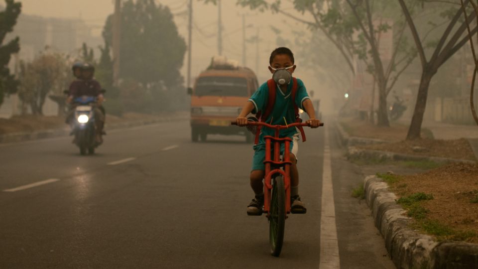 Experts have calculated the economic losses caused by bad air quality in Jakarta. How is the state responding?