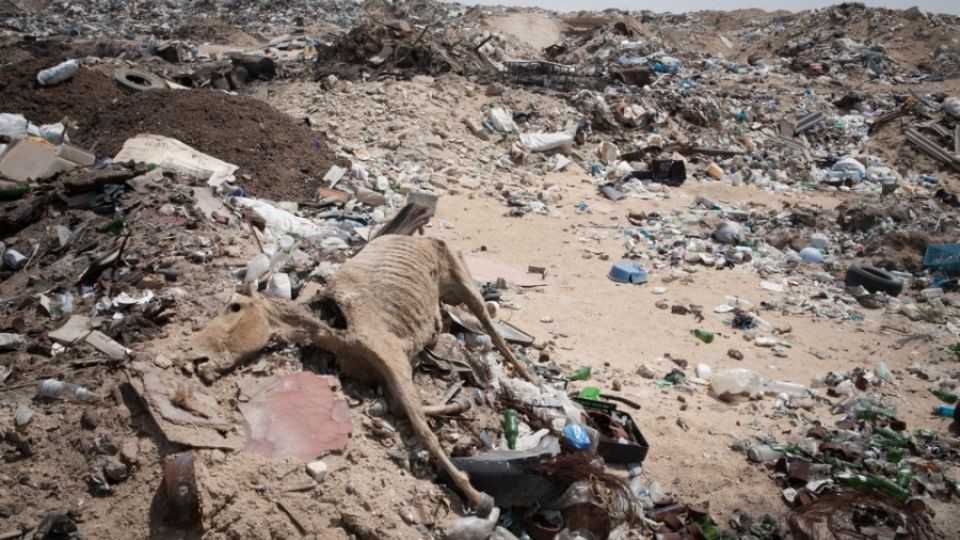 Illegal waste dump (Akshukur)
