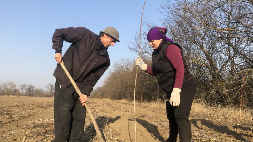 Dobrovolníci v Moldavsku sází stromy podél řek. Podaří se jim obnovit rovnováhu v krajině?