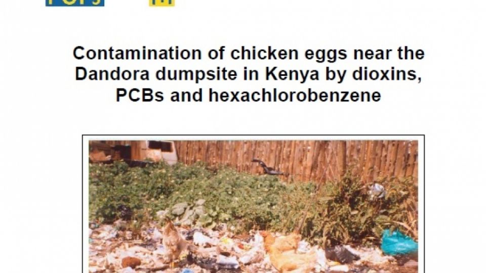 Contamination of chicken eggs near the Dandora dumpsite in Kenya