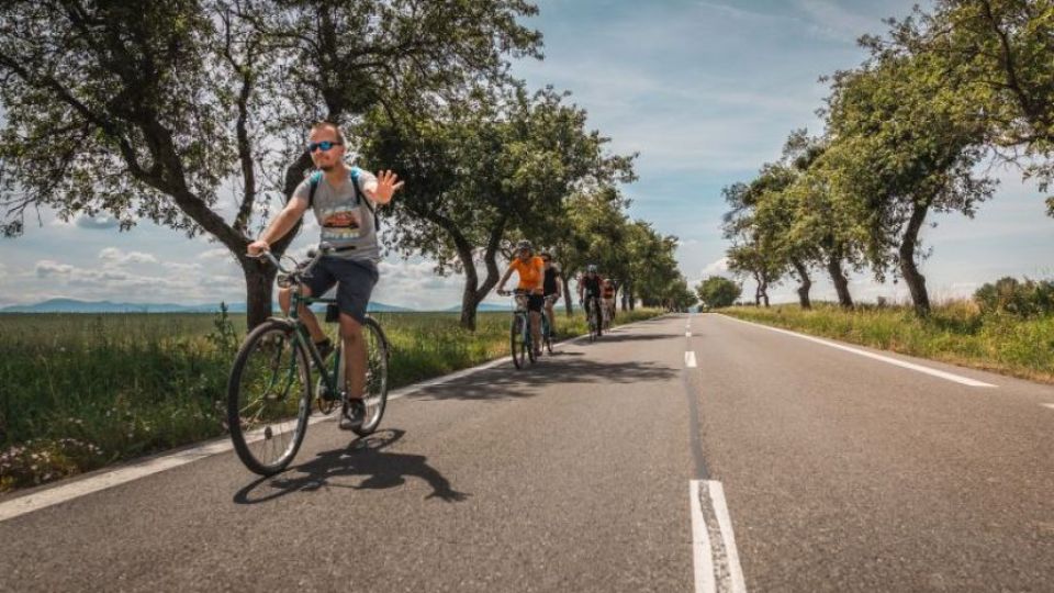 Cyklisté vyrazí do Poodří na Tour de aleje za ochranu stromů