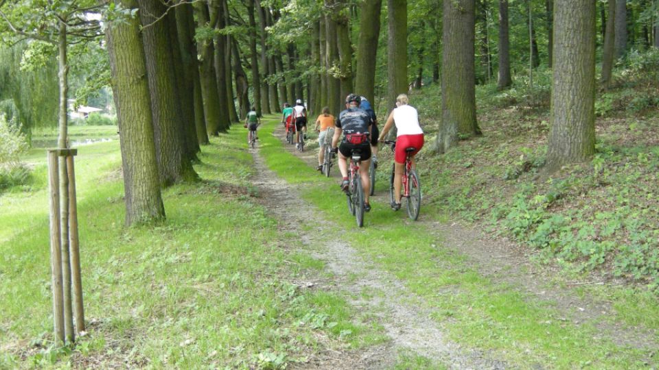 Cyklojízda Tour de aleje odstartuje v červnu, registrovat se s celou rodinou můžete už teď