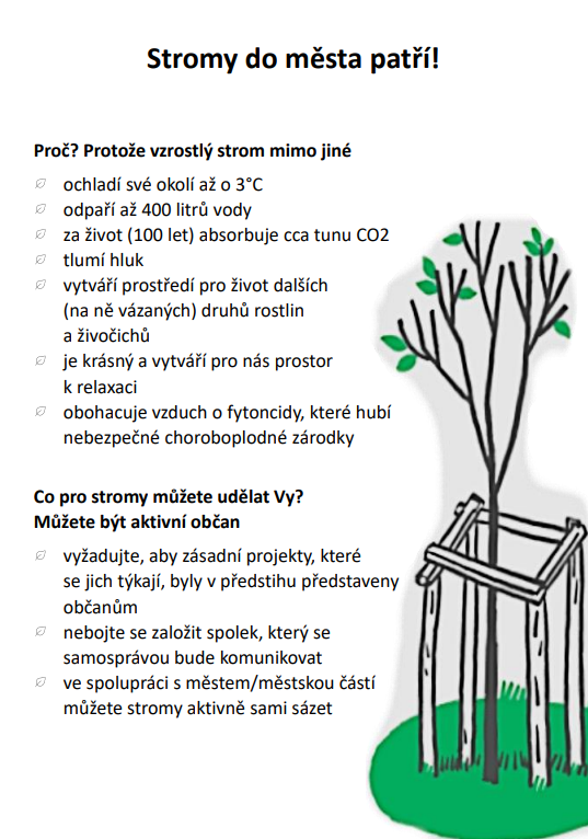 stromy1