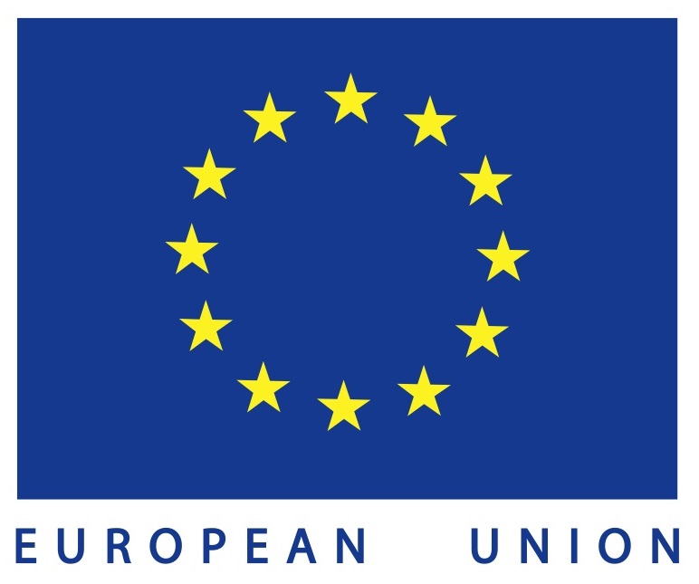 EU flag wt text2